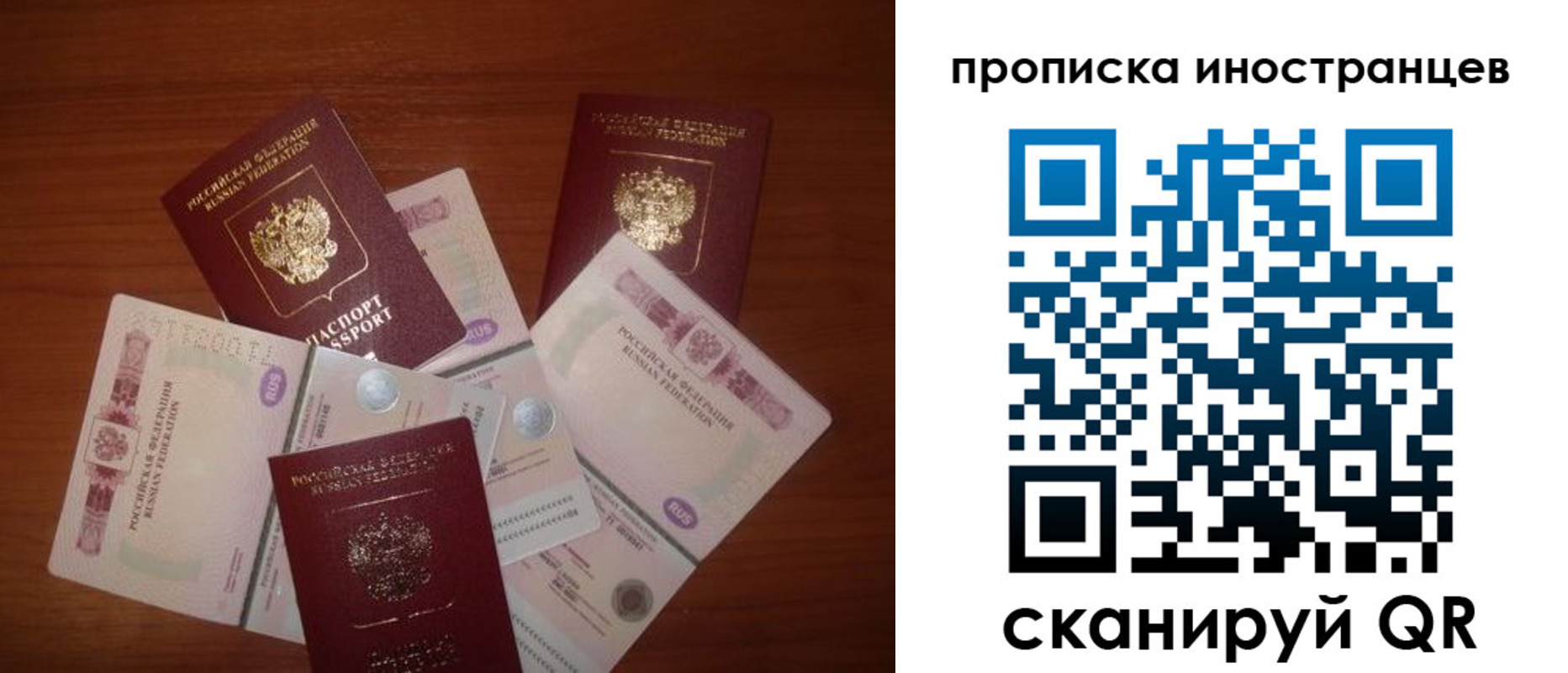 прописка ребенка в Фрязино